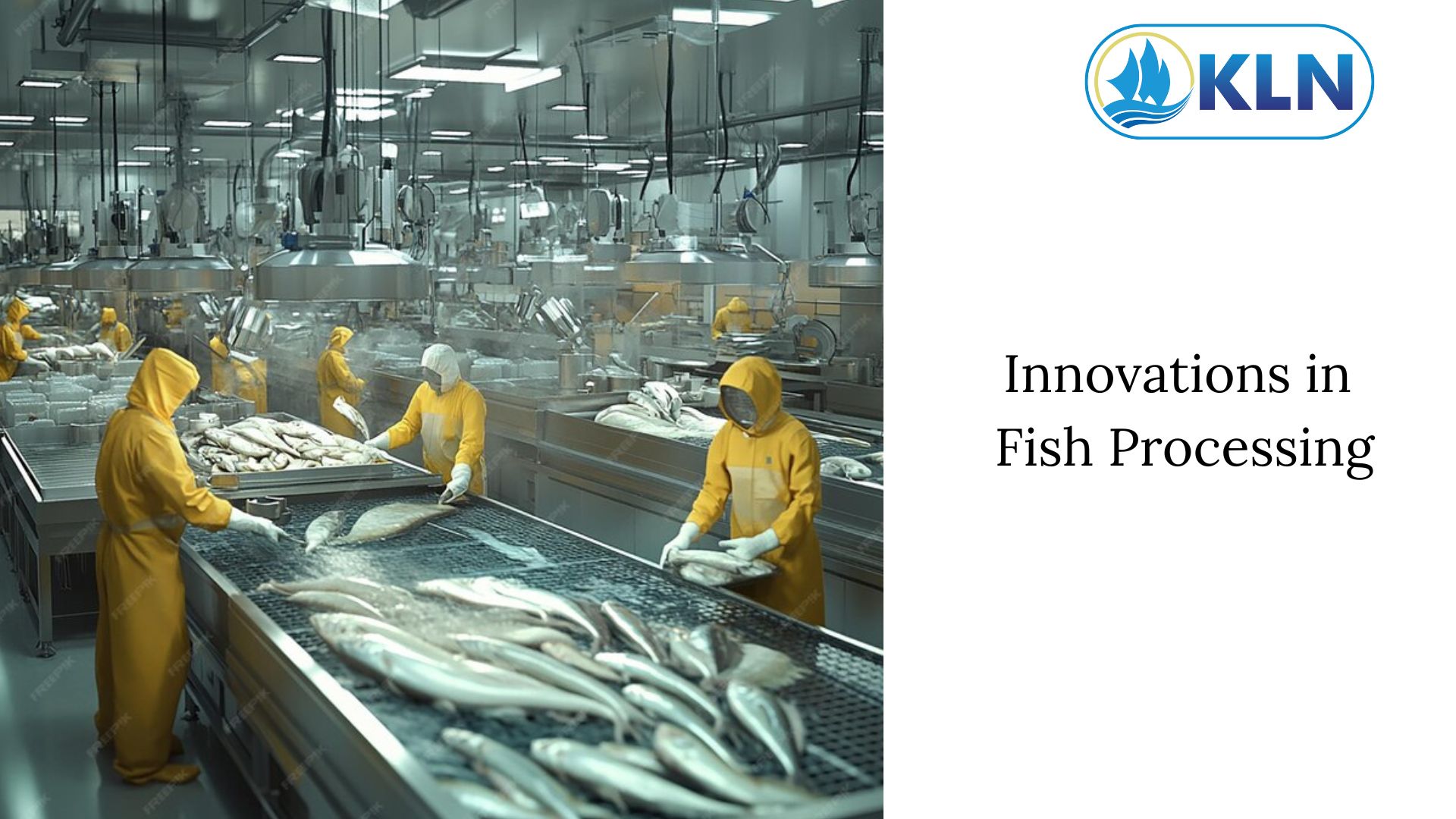 Innovations in Fish Processing to Enhancing Quality and Efficiency  